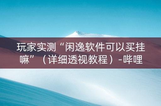 玩家实测“闲逸软件可以买挂嘛”（详细透视教程）-哔哩哔哩