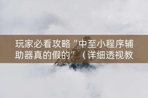 玩家必看攻略“中至小程序辅助器真的假的”（详细透视教程）-哔哩哔哩