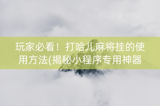 玩家必看！打哈儿麻将挂的使用方法(揭秘小程序专用神器下载)