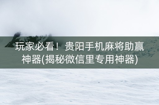 玩家必看！贵阳手机麻将助赢神器(揭秘微信里专用神器)