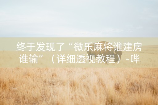 终于发现了“微乐麻将谁建房谁输”（详细透视教程）-哔哩哔哩