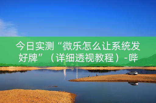今日实测“微乐怎么让系统发好牌”（详细透视教程）-哔哩哔哩