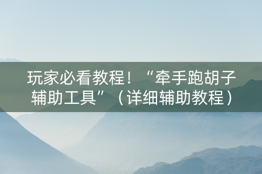玩家必看教程！“牵手跑胡子辅助工具”（详细辅助教程）-哔哩哔哩