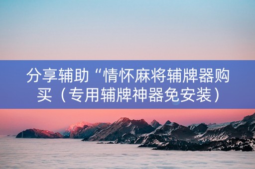 分享辅助“情怀麻将辅牌器购买（专用辅牌神器免安装）