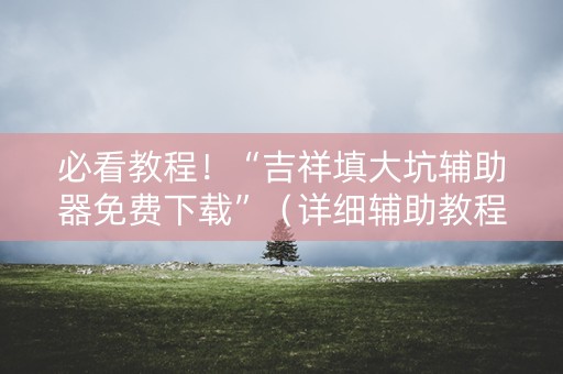 必看教程！“吉祥填大坑辅助器免费下载”（详细辅助教程）-哔哩哔哩
