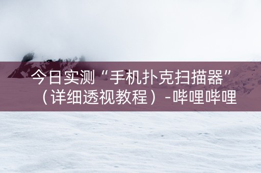 今日实测“手机扑克扫描器”（详细透视教程）-哔哩哔哩