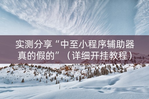 实测分享“中至小程序辅助器真的假的”（详细开挂教程）-哔哩哔哩