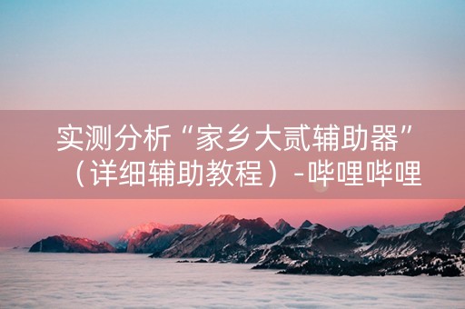 实测分析“家乡大贰辅助器”（详细辅助教程）-哔哩哔哩