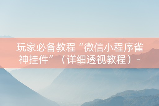 玩家必备教程“微信小程序雀神挂件”（详细透视教程）-哔哩哔哩