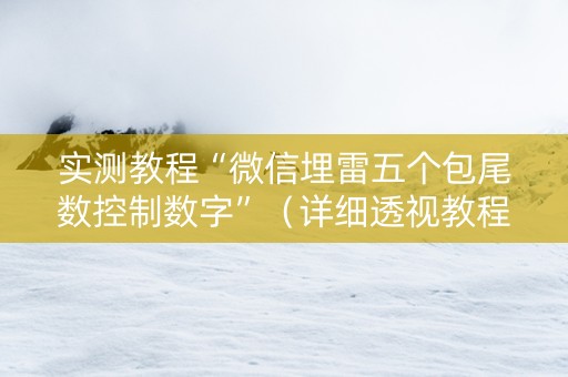 实测教程“微信埋雷五个包尾数控制数字”（详细透视教程）-哔哩哔哩