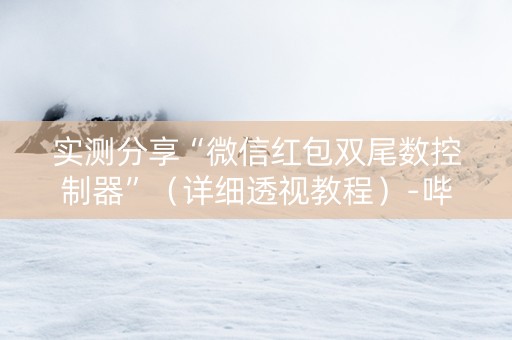 实测分享“微信红包双尾数控制器”（详细透视教程）-哔哩哔哩