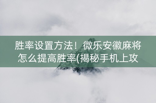 胜率设置方法！微乐安徽麻将怎么提高胜率(揭秘手机上攻略插件)