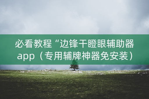 必看教程“边锋干瞪眼辅助器app（专用辅牌神器免安装）