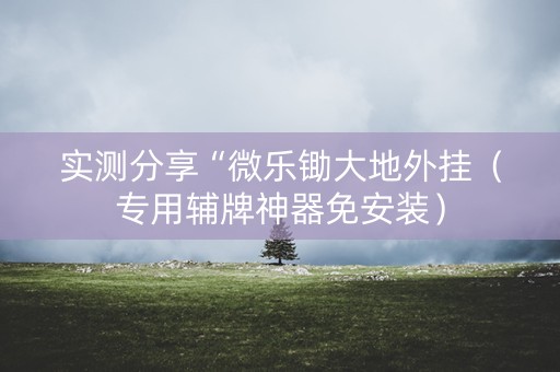 实测分享“微乐锄大地外挂（专用辅牌神器免安装）