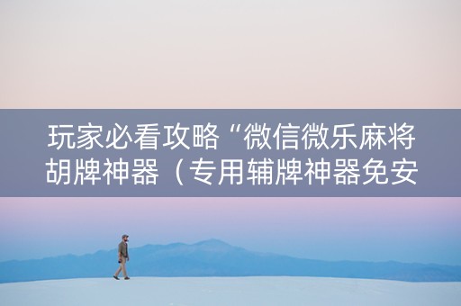 玩家必看攻略“微信微乐麻将胡牌神器（专用辅牌神器免安装）