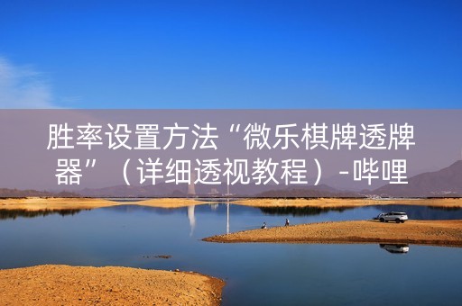 胜率设置方法“微乐棋牌透牌器”（详细透视教程）-哔哩哔哩