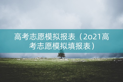 高考志愿模拟报表（2o21高考志愿模拟填报表）
