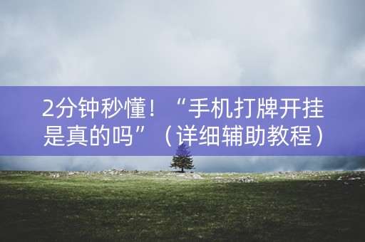 2分钟秒懂！“手机打牌开挂是真的吗”（详细辅助教程）-哔哩哔哩
