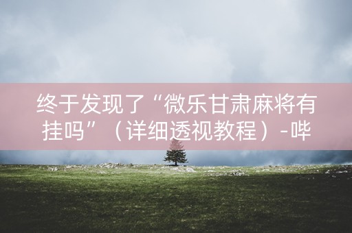 终于发现了“微乐甘肃麻将有挂吗”（详细透视教程）-哔哩哔哩
