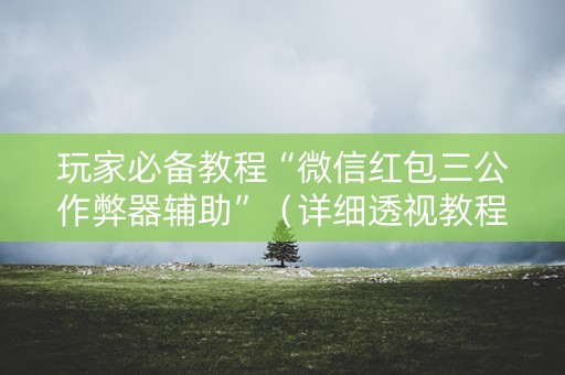 玩家必备教程“微信红包三公作弊器辅助”（详细透视教程）-哔哩哔哩