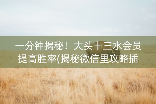 一分钟揭秘！大头十三水会员提高胜率(揭秘微信里攻略插件)
