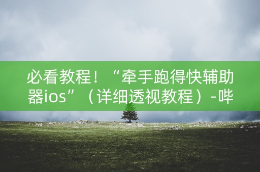 必看教程！“牵手跑得快辅助器ios”（详细透视教程）-哔哩哔哩