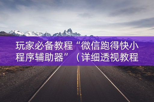 玩家必备教程“微信跑得快小程序辅助器”（详细透视教程）-哔哩哔哩