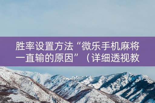胜率设置方法“微乐手机麻将一直输的原因”（详细透视教程）-哔哩哔哩