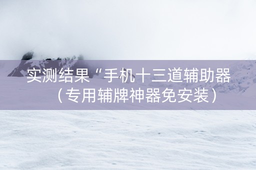 实测结果“手机十三道辅助器（专用辅牌神器免安装）