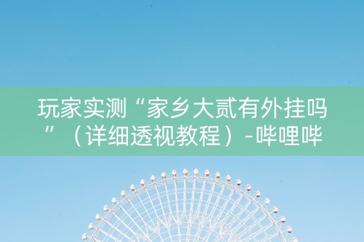 玩家实测“家乡大贰有外挂吗”（详细透视教程）-哔哩哔哩