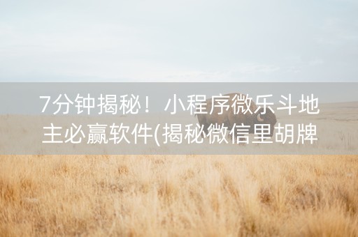 7分钟揭秘！小程序微乐斗地主必赢软件(揭秘微信里胡牌神器)