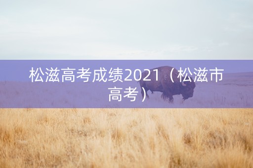 松滋高考成绩2021（松滋市高考）