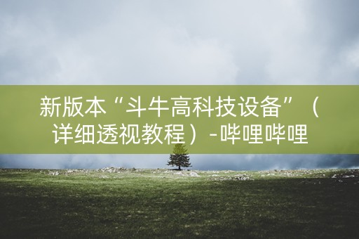 新版本“斗牛高科技设备”（详细透视教程）-哔哩哔哩
