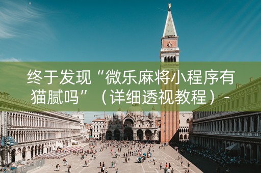 终于发现“微乐麻将小程序有猫腻吗”（详细透视教程）-哔哩哔哩