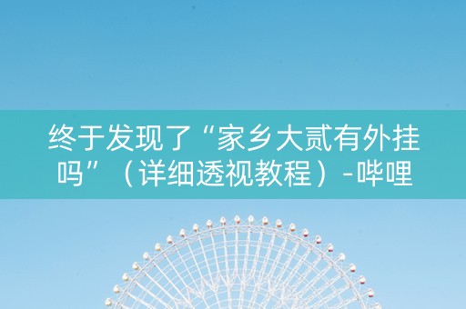 终于发现了“家乡大贰有外挂吗”（详细透视教程）-哔哩哔哩