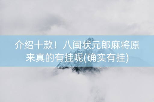 介绍十款！八闽状元郎麻将原来真的有挂呢(确实有挂)