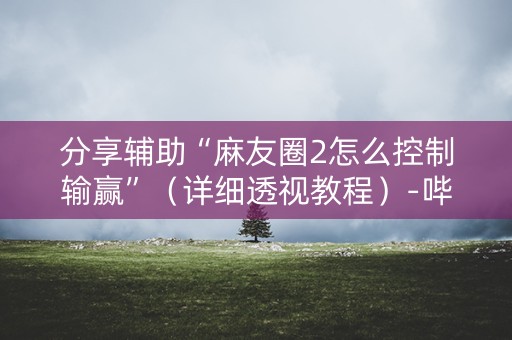分享辅助“麻友圈2怎么控制输赢”（详细透视教程）-哔哩哔哩