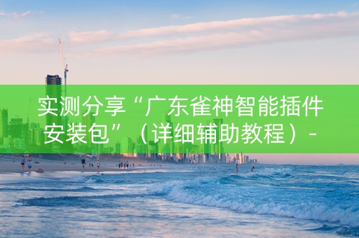 实测分享“广东雀神智能插件安装包”（详细辅助教程）-哔哩哔哩