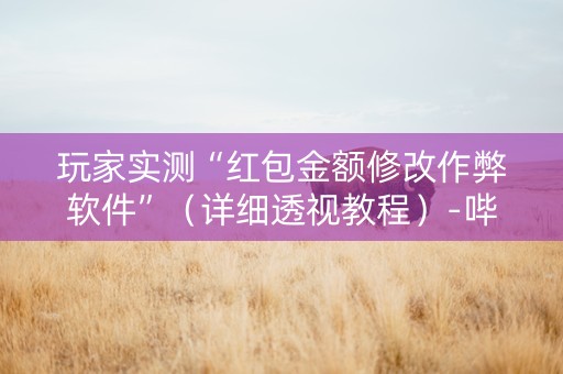 玩家实测“红包金额修改作弊软件”（详细透视教程）-哔哩哔哩