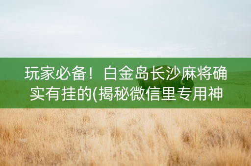 玩家必备！白金岛长沙麻将确实有挂的(揭秘微信里专用神器)