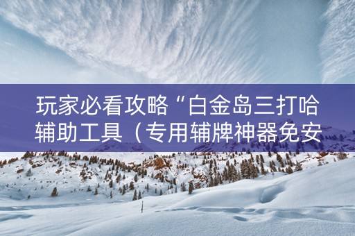 玩家必看攻略“白金岛三打哈辅助工具（专用辅牌神器免安装）