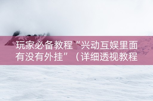 玩家必备教程“兴动互娱里面有没有外挂”（详细透视教程）-哔哩哔哩
