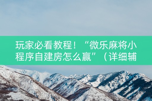 玩家必看教程！“微乐麻将小程序自建房怎么赢”（详细辅助教程）-哔哩哔哩