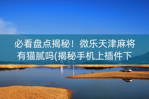 必看盘点揭秘！微乐天津麻将有猫腻吗(揭秘手机上插件下载)