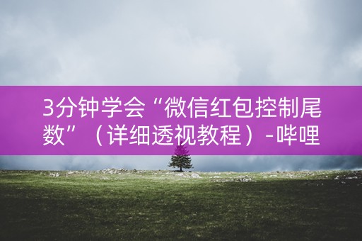 3分钟学会“微信红包控制尾数”（详细透视教程）-哔哩哔哩