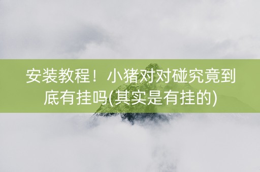安装教程！小猪对对碰究竟到底有挂吗(其实是有挂的)