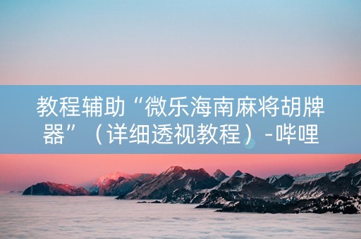 教程辅助“微乐海南麻将胡牌器”（详细透视教程）-哔哩哔哩