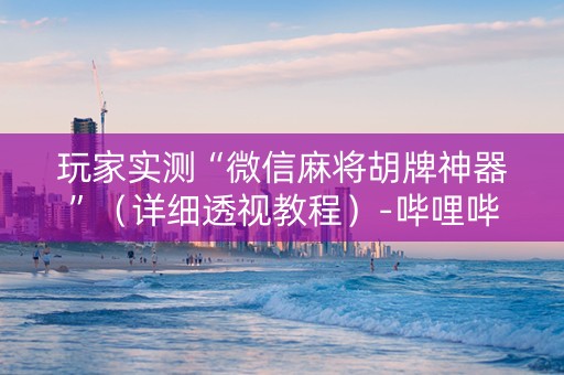 玩家实测“微信麻将胡牌神器”（详细透视教程）-哔哩哔哩