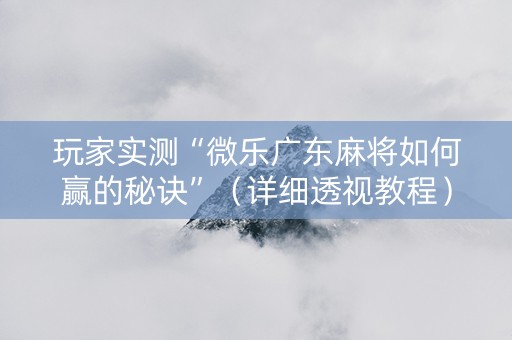 玩家实测“微乐广东麻将如何赢的秘诀”（详细透视教程）-哔哩哔哩