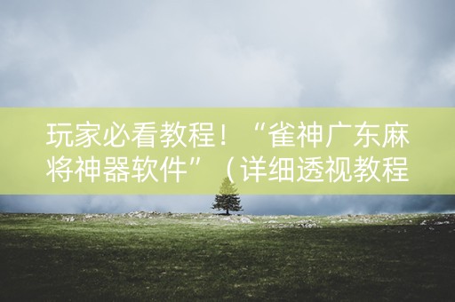 玩家必看教程！“雀神广东麻将神器软件”（详细透视教程）-哔哩哔哩